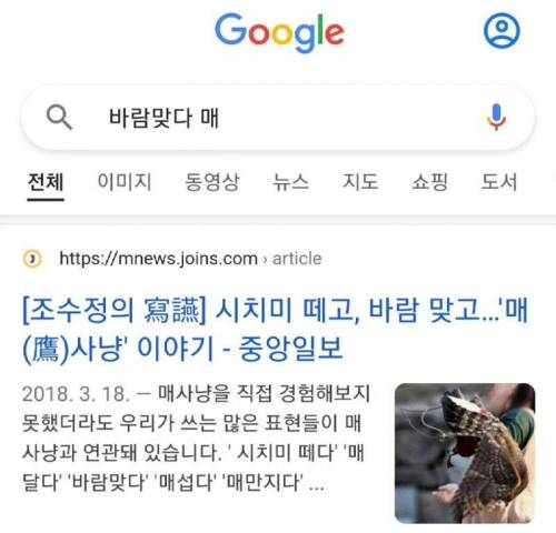 매에 관한 어원 논란.jpg