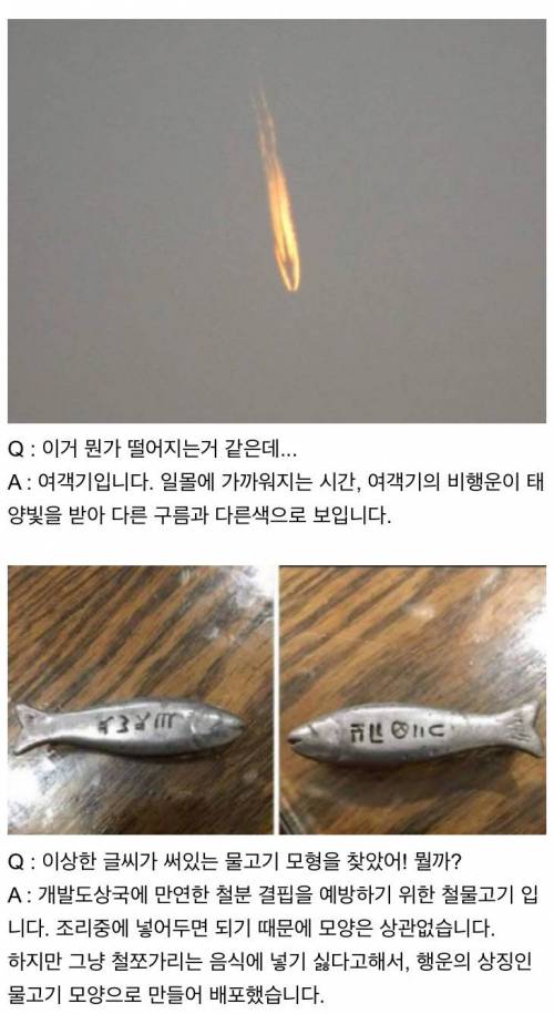 [스압] 인터넷은 모든 걸 알고 있다.jpg