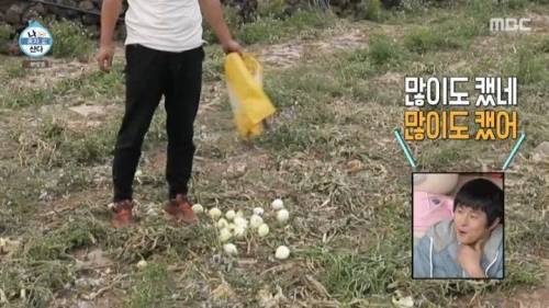 [스압] 양파 주워 먹다 죽을 뻔한 곽도원.jpg
