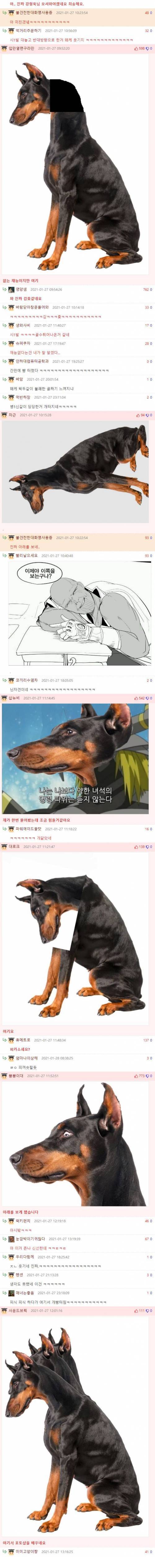 [스압] 멍멍이가 아래를 보게 해주세요.jpg