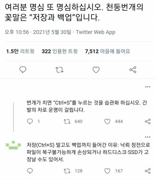 천둥번개의 꽃말.jpg