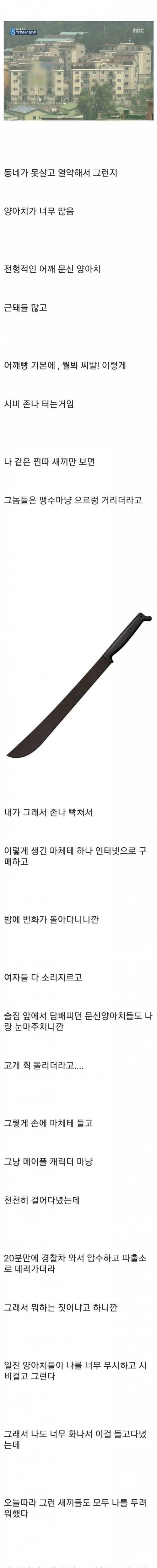 [스압] 한손검 디시인.jpg