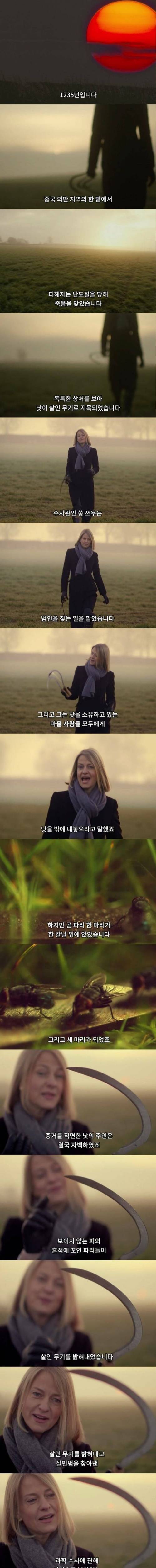 [스압] 인류 역사에 최초로 기록되어진 법의학 기록.jpg