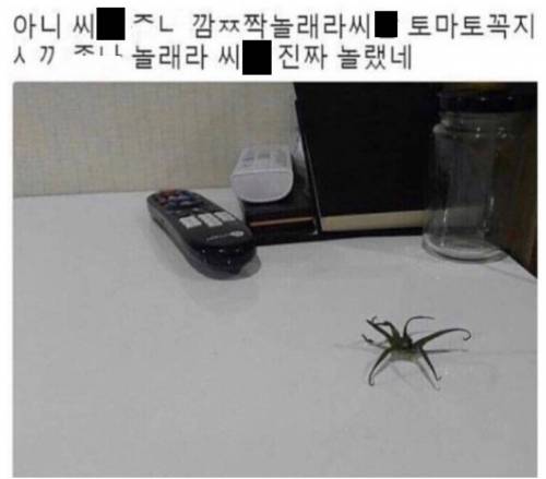 토마토가 사람에게 끼치는 영향.jpg