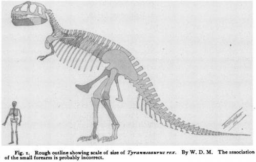 전세계에서 가장 유명한 공룡 '티라노사우루스' 의 비밀