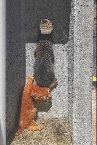 누나 아직 멀었어~~?.jpg