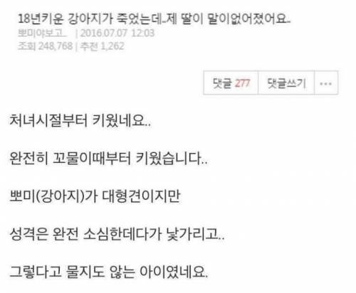 [?] 18년키운 강아지가 죽었는데 제 딸이 말이 없어졌어요.jpg