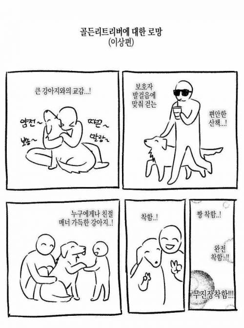 골든리트리버에 대한 로망 이상과 현실.jpg