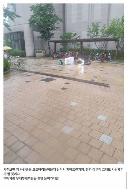 하얀 줄로 사람 잡는 부비트랩.jpg