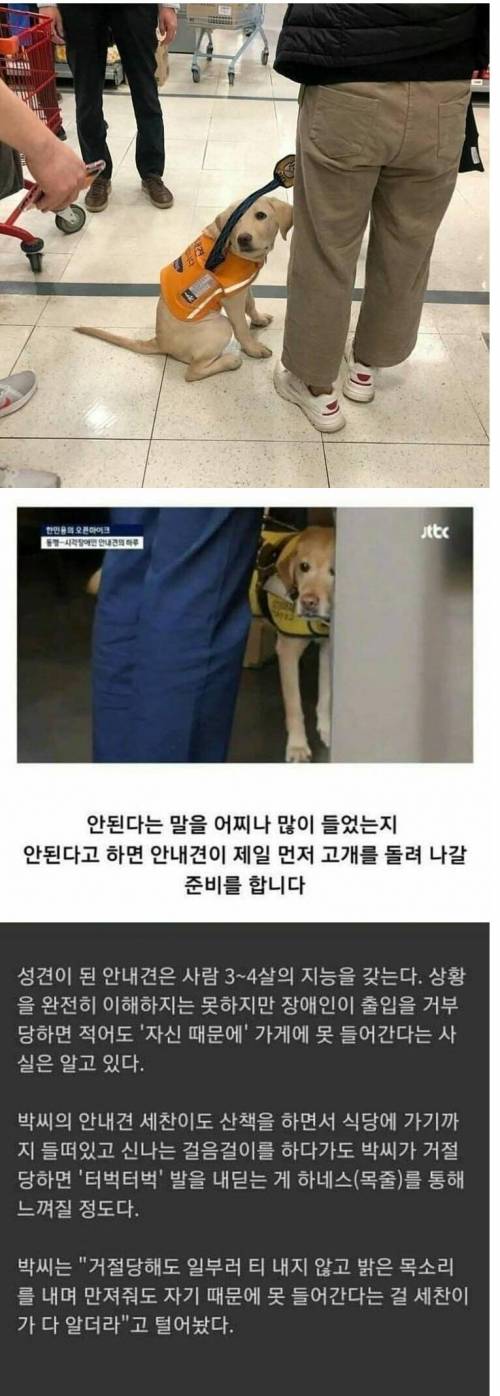 자기 탓인 줄 아는 안내견.jpg