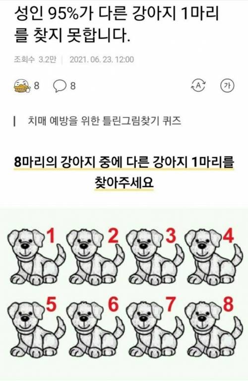 다른 강아지 찾기.jpg