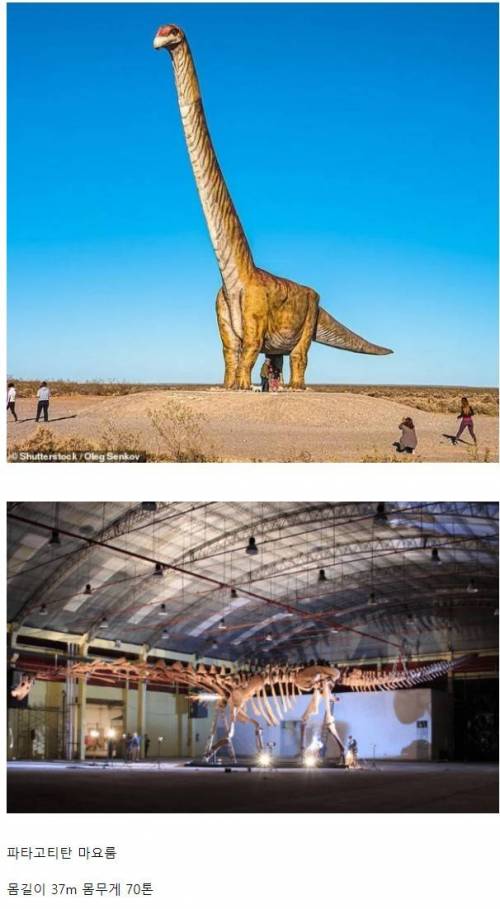 현재까지 알려진 가장 큰 공룡 크기 체감.jpg
