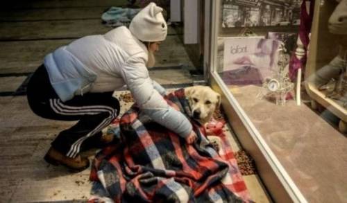 [스압] 터키사람들이 길거리 동물들한테 잘해주는 이유