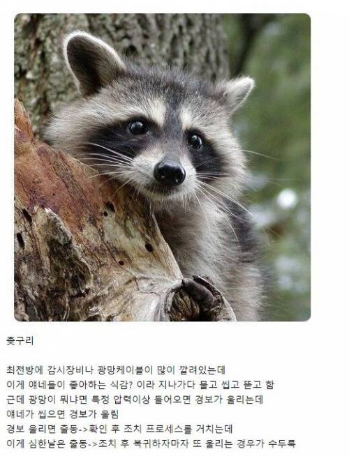 GOP 출신들만 아는 GOP 최대주적.jpg