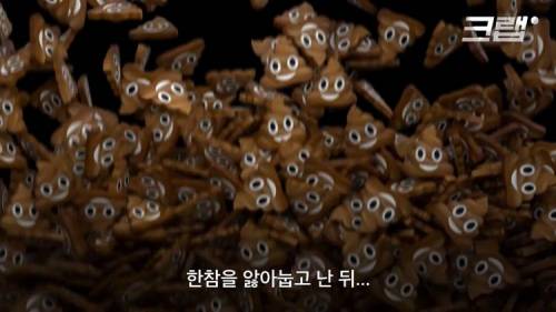 [스압] 올해로 129살 된 이 뚜껑이 놀라운 이유.jpg