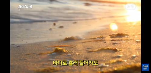 [스압] 이제 비닐도 먹을수있게 만드는 한국인.jpg