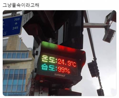 그냥 물속이라고 해.jpg