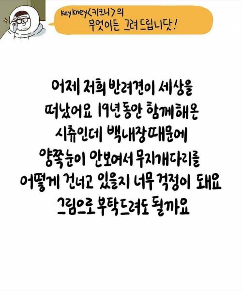 19살 된 반려견이 양쪽 눈 없이 무지개 다리를 어떻게 건너고 있을지... 너무 걱정돼요.mp4