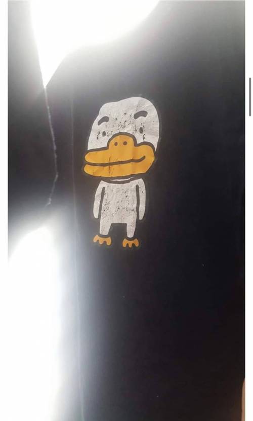 [스압] 광기 가득한 카카오 반팔티.jpg