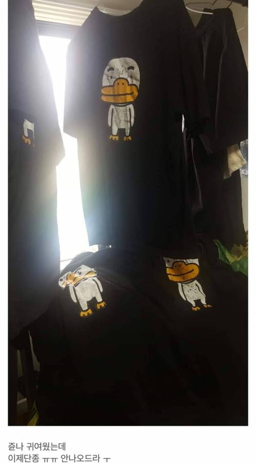[스압] 광기 가득한 카카오 반팔티.jpg