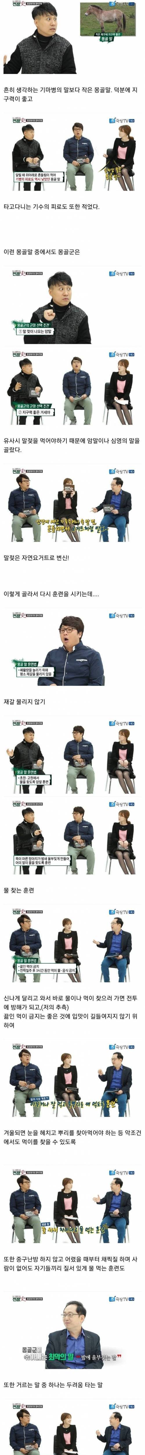 [스압] 몽골 군마가 사기인 이유.jpg