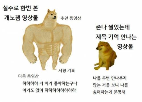 흔한 유투브 알고리즘.jpg