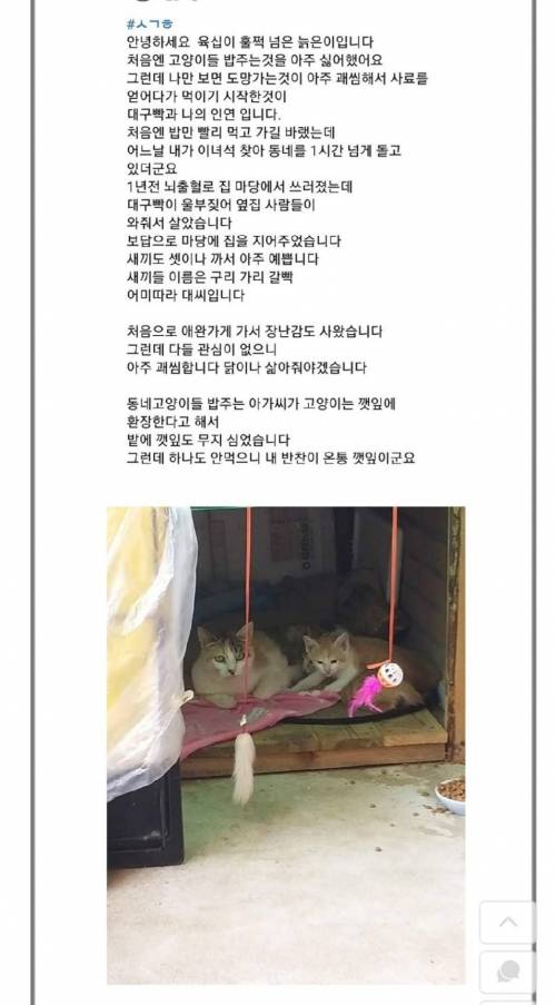 은혜 갚은 대구삑.jpg