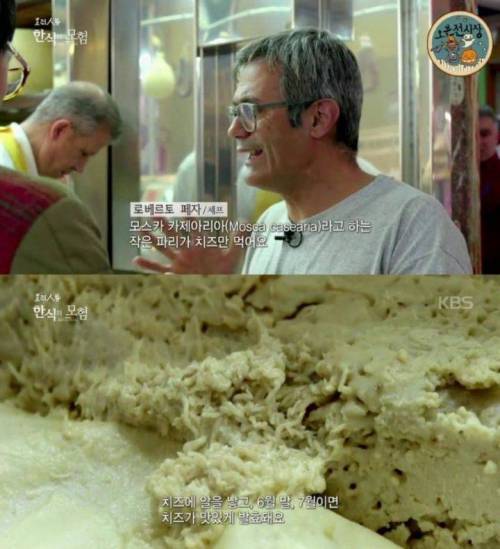 [약혐] 이탈리아의 유명한 전통 음식.jpg