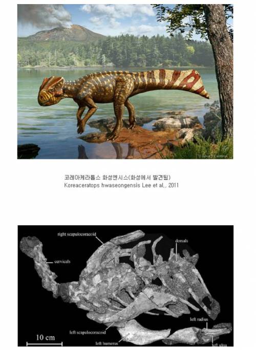 이름에 한국이 들어가는 공룡들.jpg
