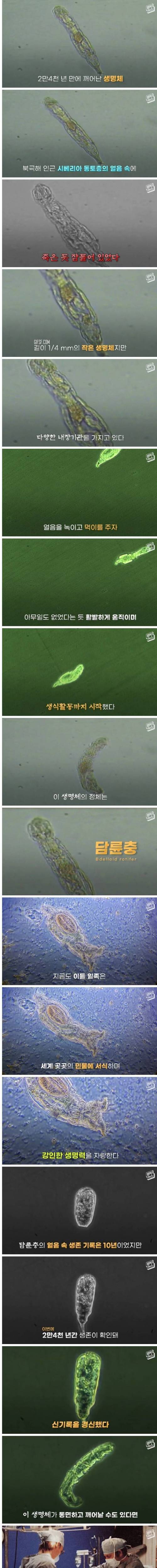 [스압] 2만 4천년의 잠에서 깬 고대 생명체의 정체.jpg