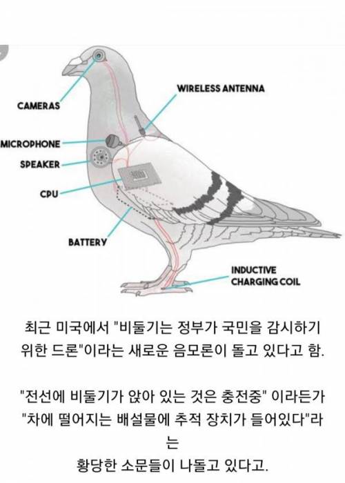 미국 음모론 근황.jpg