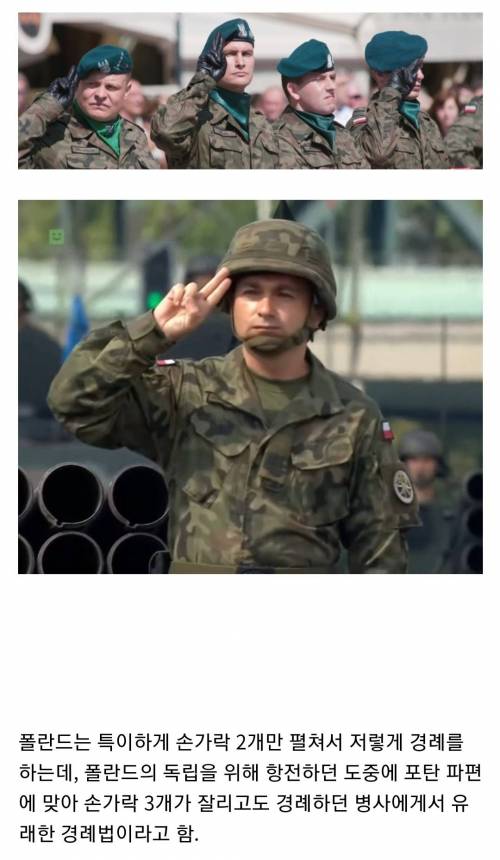 세계에서 가장 경례를 특이하게 하는 나라.jpg