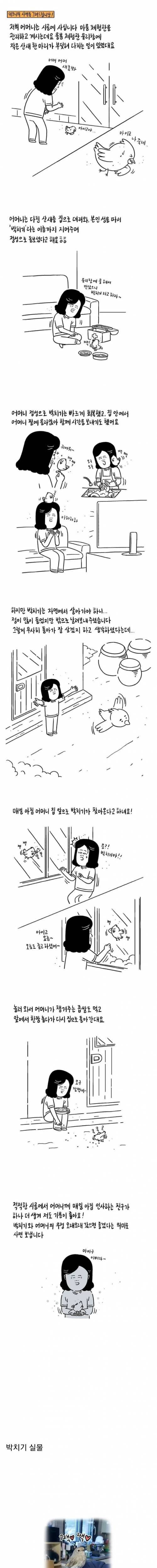 쓰러져있는 산새를 발견한 어머니.jpg