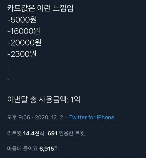 직장인 카드값 확인할 때 공감.jpg