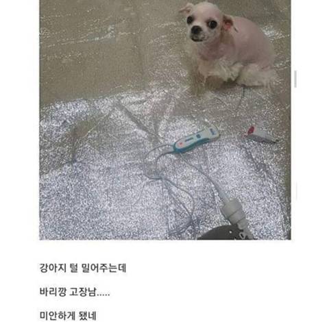 미안하게 됐어.jpg