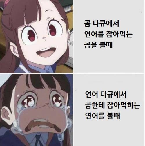 다큐별 감정이입.jpg
