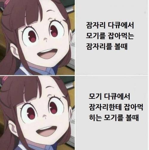 다큐별 감정이입.jpg
