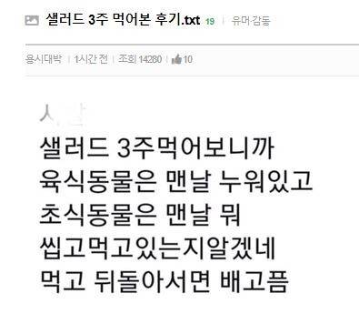 샐러드 3주간 먹은 후기.jpg