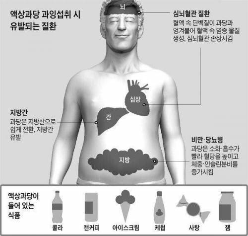 요즘 현대인들 비만 원인 1순위.jpg