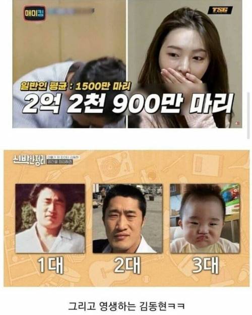 부부 한쪽의 유전자가 강력하면 일어나는 일.jpg