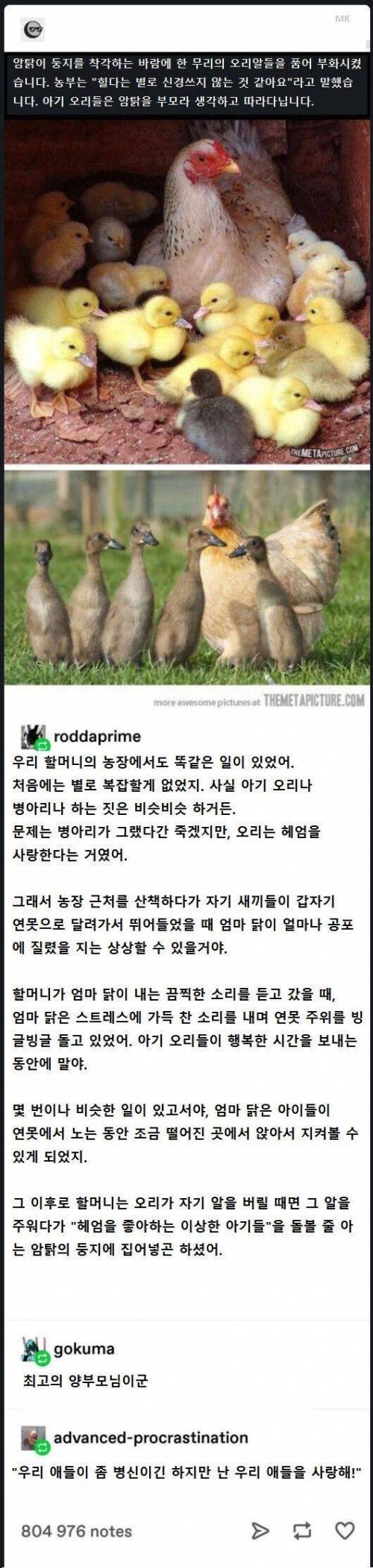 우리 애들이 이상하지만 난 애들을 사랑해.jpg