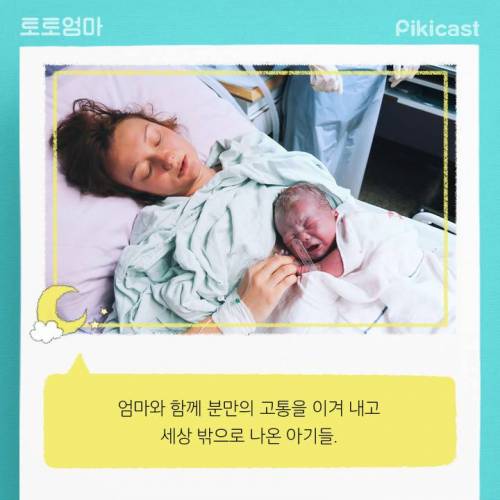 [스압] 엄청바쁘다는 신생아의 24시간.jpg