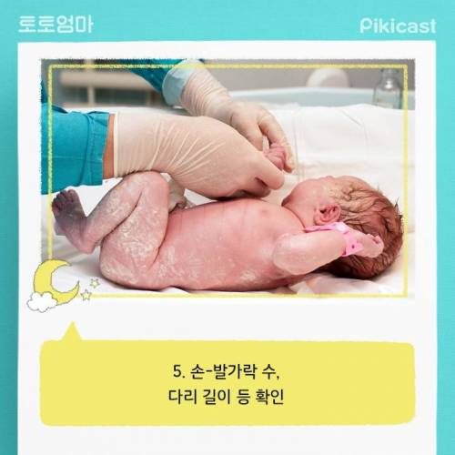 [스압] 엄청바쁘다는 신생아의 24시간.jpg