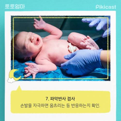 [스압] 엄청바쁘다는 신생아의 24시간.jpg