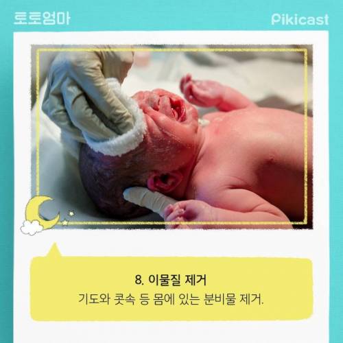 [스압] 엄청바쁘다는 신생아의 24시간.jpg