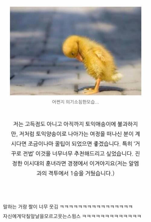 [스압] 블로그에서 토익 꿀팁 보는데....jpg