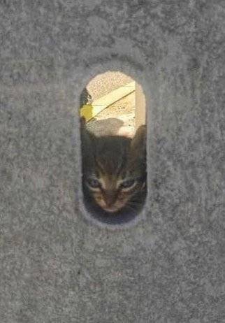 누나 아직 멀었어~~?.jpg