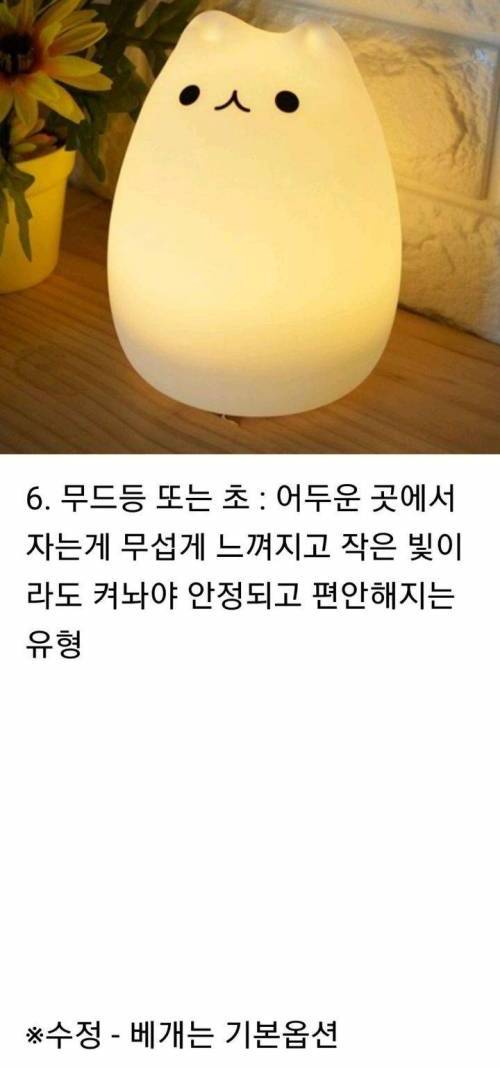 [스압] 잘 때 이건 반드시 있어야 한다?.jpg