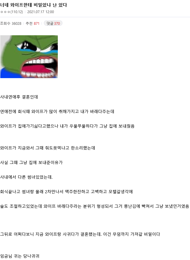 와이프에게 말 못할 비밀이 있는 주갤러.jpg