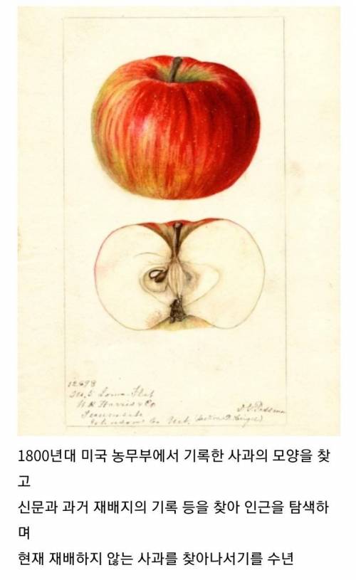 은퇴한 FBI 수사관이 하는 일.jpg